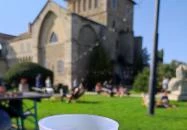 Zsigmond Terasz & Pince Tata