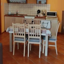 Zsuzsi Apartman Gyula - Egyéb