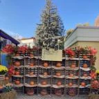 Szent István Park Hajdúszoboszló - Belső