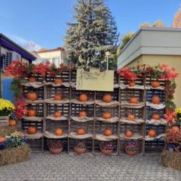 Szent István Park, Hajdúszoboszló - Belső