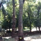 Maros Kalandpart Makó - 