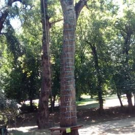 Maros Kalandpart Makó - Egyéb