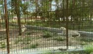 Richter Safari Park Nagykőrös - 