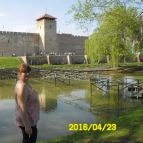 Aqua Hotel Gyula - Környék