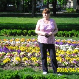 Aqua Hotel Gyula - Környék