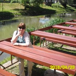 Aqua Hotel Gyula - Környék