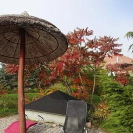 Hévíz Resort & Spa Cserszegtomaj - Medence/kert