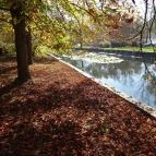 Hévíz Resort & Spa Cserszegtomaj - Környék