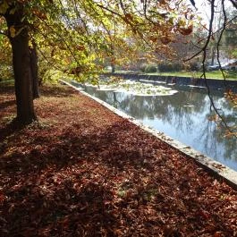 Hévíz Resort & Spa Cserszegtomaj - Környék