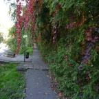 Hévíz Resort & Spa Cserszegtomaj - Környék