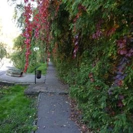 Hévíz Resort & Spa Cserszegtomaj - Környék