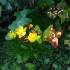 Hévíz Resort & Spa Cserszegtomaj - Környék