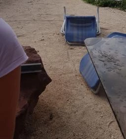 Egzotikus Kert Apartmanház 