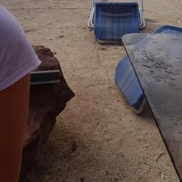 Egzotikus Kert Apartmanház Balatonalmádi - Medence/kert