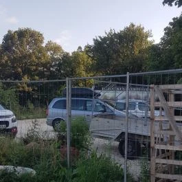 Egzotikus Kert Apartmanház Balatonalmádi - Medence/kert
