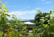 Picitmás Étterem & Manufaktúra Balatonszőlős
