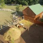 Hotel Vécsecity Hernádvécse - Medence/kert