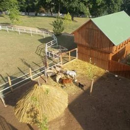 Hotel Vécsecity, Hernádvécse - Medence/kert