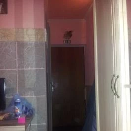 Kastély Villa, Miskolc - Szobák