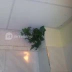 Kastély Villa Miskolc - Szobák