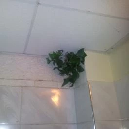 Kastély Villa, Miskolc - Szobák