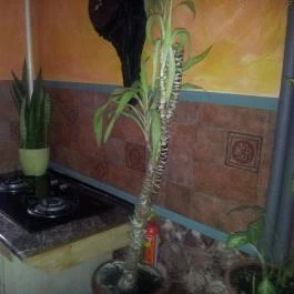 Kastély Villa, Miskolc - Szobák