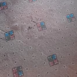 Hunguest Szeged (korábbi Forrás) Szeged - Egyéb