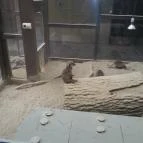 Bambara Hotel Felsőtárkány - Egyéb