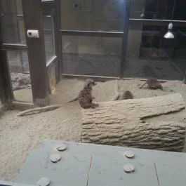 Bambara Hotel, Felsőtárkány - Egyéb