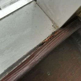 Gunaras Resort Spa Hotel Dombóvár - Egyéb