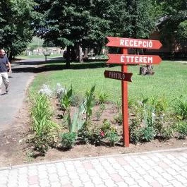 Násfa Panzió Feldebrő - Környék