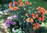 Borgáta Termálfürdő Borgáta