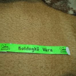 Castrum Boldua középkori étterem Boldogkőváralja - Egyéb