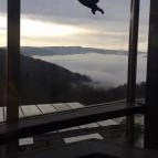 Silvanus Wellness & Konferencia Hotel Visegrád - Környék