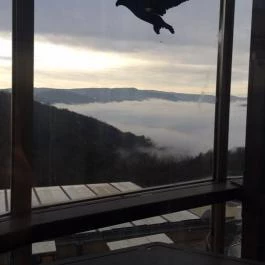 Silvanus Wellness & Konferencia Hotel Visegrád - Környék