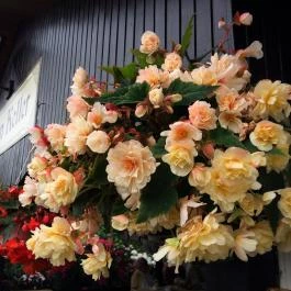 Szikla Falatozó & Pince Budaörs - Egyéb