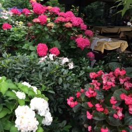 Szikla Falatozó & Pince Budaörs - Egyéb