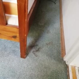 Hotel Mediterrán, Pécs - Egyéb