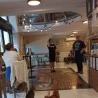 Cat Café - Révay utca Budapest - Belső