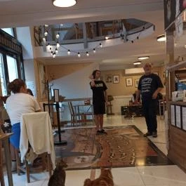 Cat Café - Révay utca Budapest - Belső