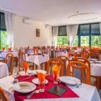 Mátrafüredi Akadémia Üdülő & Malom Fogadó Mátrafüred - Egyéb