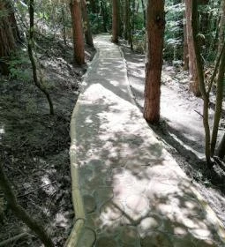 Szent László Tanösvény