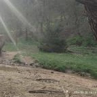 Jegenye-völgyi vízesés Solymár - Egyéb