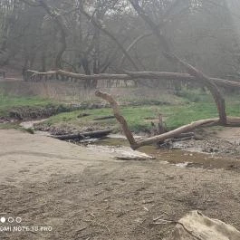 Jegenye-völgyi vízesés Solymár - Egyéb