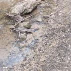 Jegenye-völgyi vízesés Solymár - Egyéb