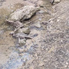 Jegenye-völgyi vízesés Solymár - Egyéb