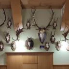 Kisfaludy Étterem Sümeg - Belső