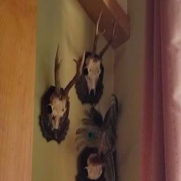 Kisfaludy Étterem Sümeg - Belső