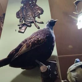 Kisfaludy Étterem Sümeg - Belső