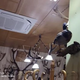 Kisfaludy Étterem Sümeg - Belső